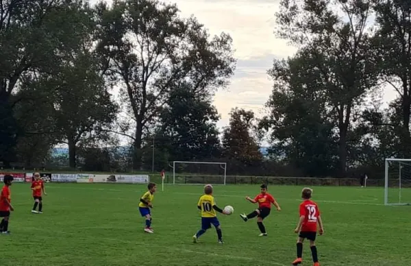 03.10.2021 SG Eckardtshausen vs. Eintracht Eisenach