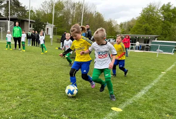 20.04.2024 Funino-Cup vs. SV 49 Eckardtshausen