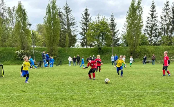 20.04.2024 Funino-Cup vs. SV 49 Eckardtshausen