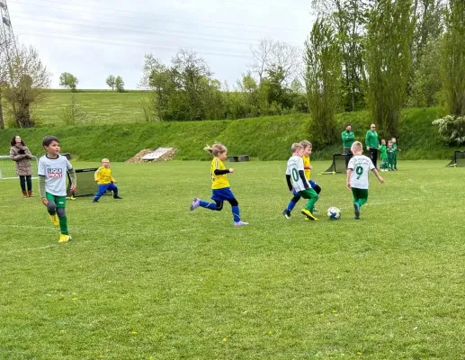 20.04.2024 Funino-Cup vs. SV 49 Eckardtshausen