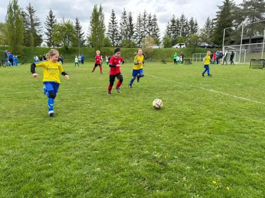 20.04.2024 Funino-Cup vs. SV 49 Eckardtshausen