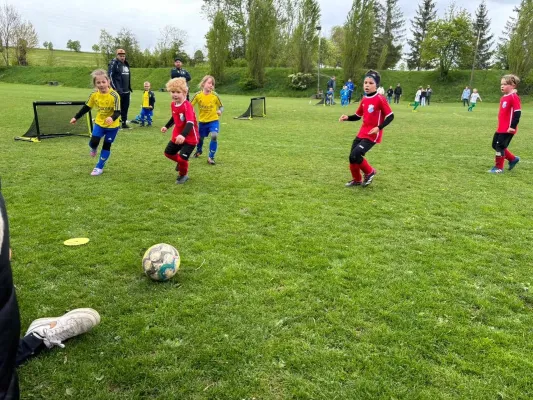 20.04.2024 Funino-Cup vs. SV 49 Eckardtshausen