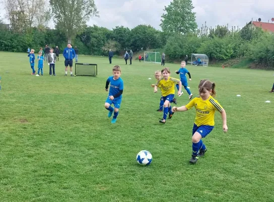 04.05.2024 Funino-Cup vs. SV 49 Eckardtshausen