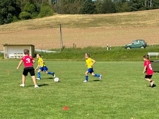 24.08.2024 SV 49 Eckardtshausen vs. Funino-Kinderfestiv.