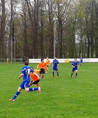 28.04.2013 FSV 1968 Behringen vs. SV 49 Eckardtshausen