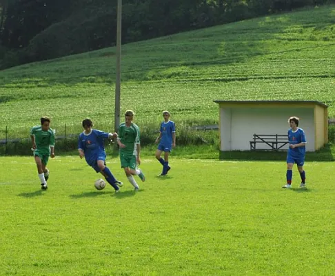 11.06.2013 SG Eckardtshausen vs. SV 1901 Wandersleben