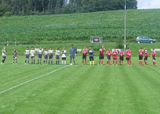 15.07.2012 SG Eckardtshausen vs. SG FSV Waltershausen