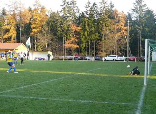 19.11.2011 SV 49 Eckardtshausen vs. SG Nesset. W'lupnitz II